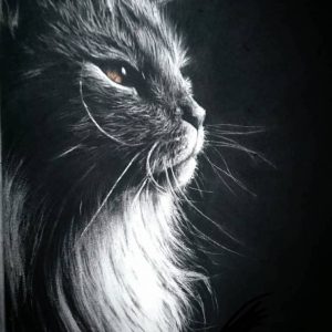 تابلو نقاشی گربه